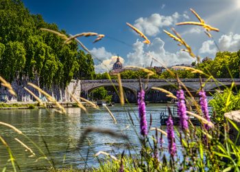 sottoaltevere_ok